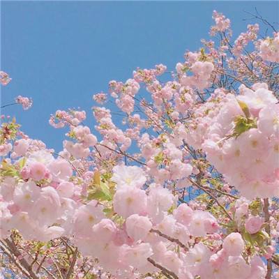 万宝彩票注册
