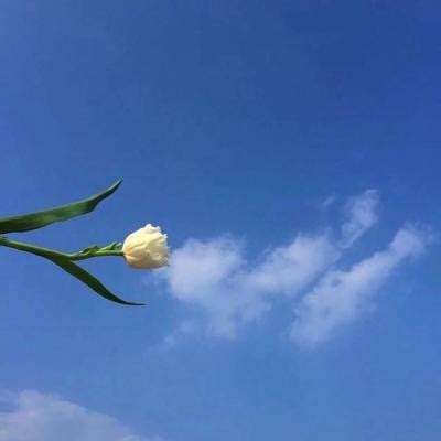 月下直播app