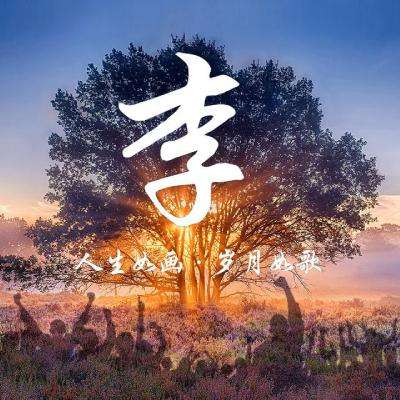 麻将胡了网站