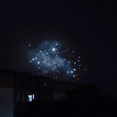 118期粤彩联盟