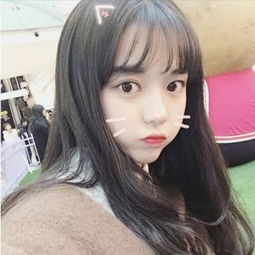 66之家app下载安装