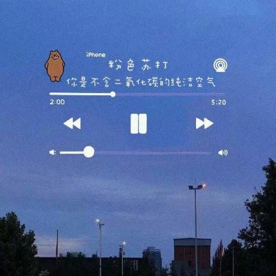 pp电子登录入口