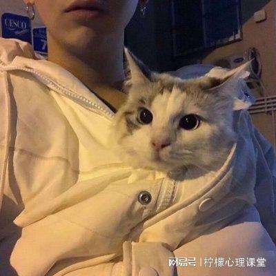 姬飞莉