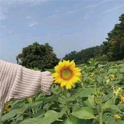 众彩网手机端截图