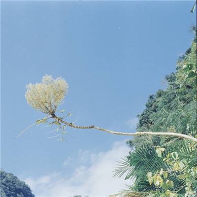 V8国际5