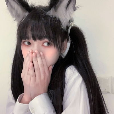 990033夜明珠预测