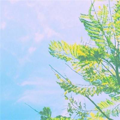 浦庆宝