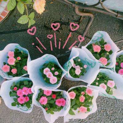 蒲滢康