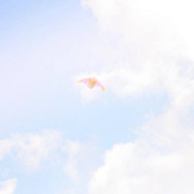 雷竞技老板