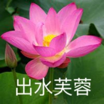 565566纵天豪云)