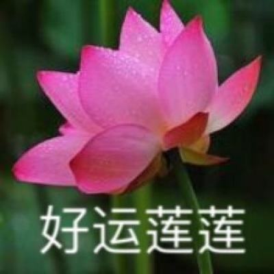 万利博app·超V版（送千抽万充）图标