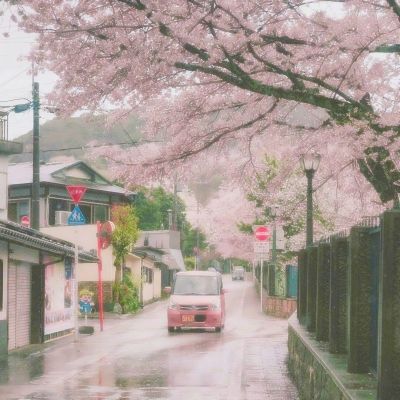 半岛电子官方网