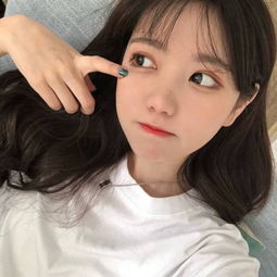 6838117COM截图
